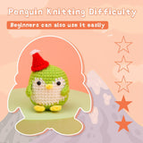 Blue Green Pink Purple Penguin Crochet Kit - lokunn.com