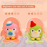 Blue Green Pink Purple Penguin Crochet Kit - lokunn.com