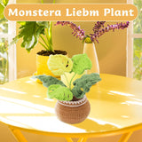 Monstera Leaves Crochet Kit - lokunn.com