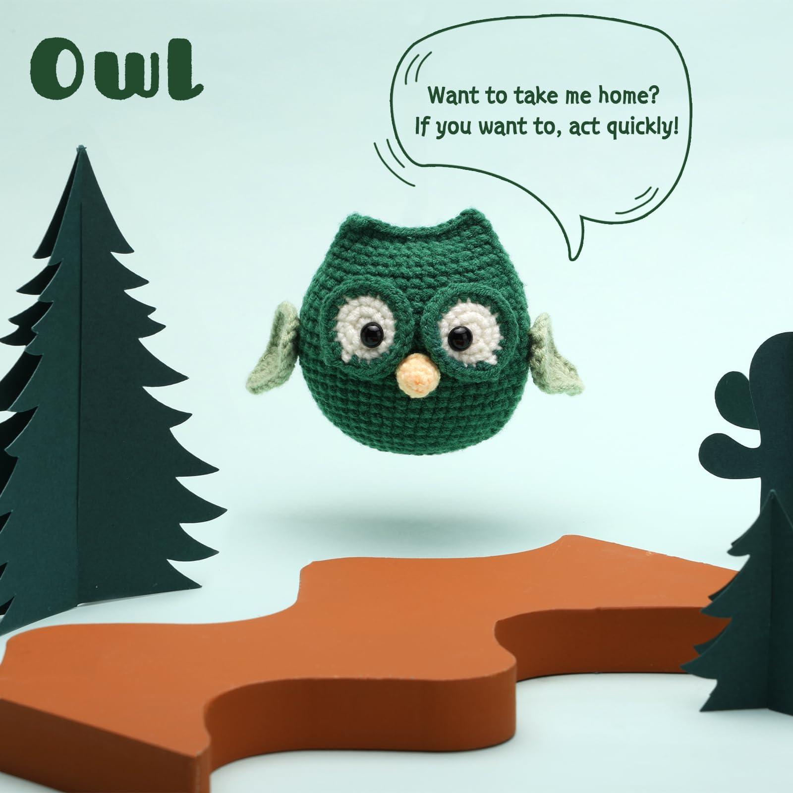 Green Owl Crochet Kit - lokunn.com