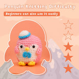 Blue Green Pink Purple Penguin Crochet Kit - lokunn.com