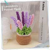 Purple Lavender Crochet Kit - lokunn.com